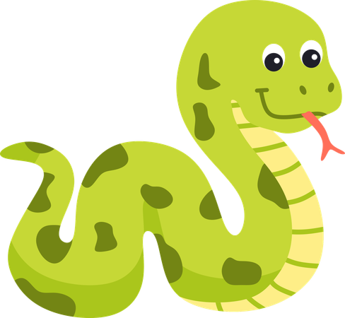 Snake  Illustration