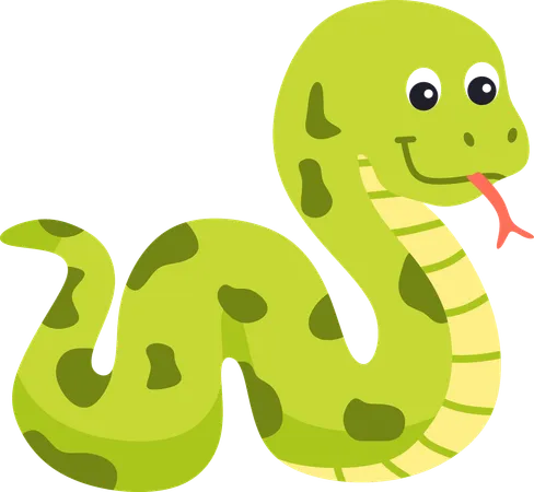 Snake  Illustration