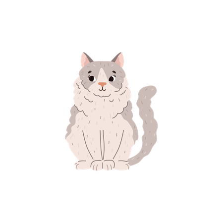 Gatto ragdoll lanuginoso seduto  Illustration