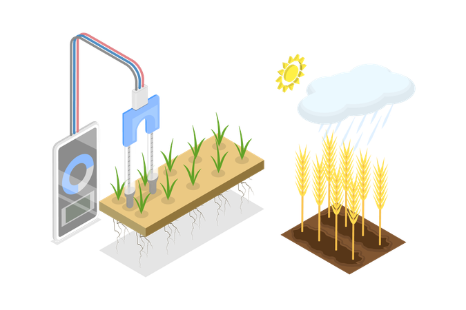 Soil Moisture Sensor  Illustration