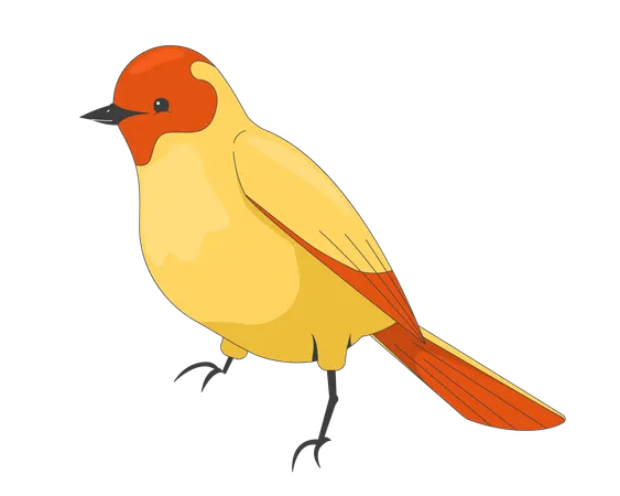 Songbird  Illustration