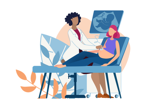 Sonography  Illustration