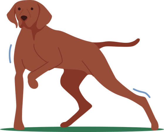 Soporte para perros Hunter con pata elevada  Ilustración