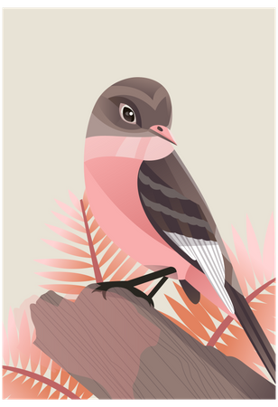 Sparrow Illustration