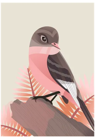 Sparrow Illustration