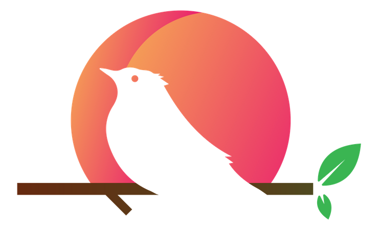 Sparrow Bird  Illustration