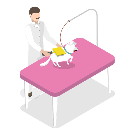 Specialist is doing Pet grooming  Illustration