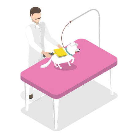 Specialist is doing Pet grooming  Illustration