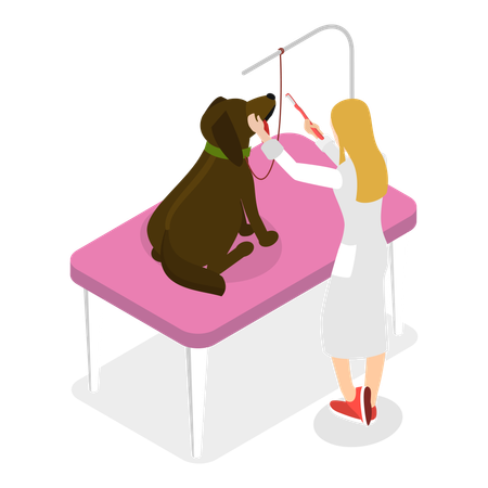 Specialist is doing Pet grooming  Illustration