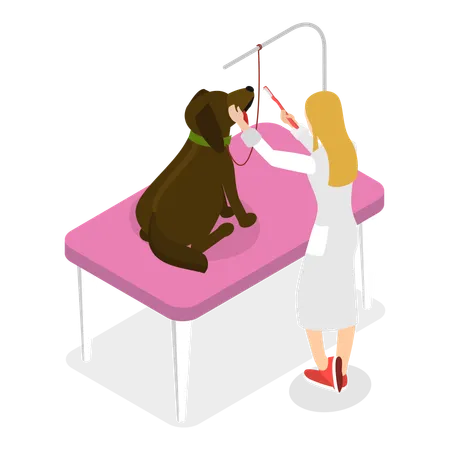 Specialist is doing Pet grooming  Illustration