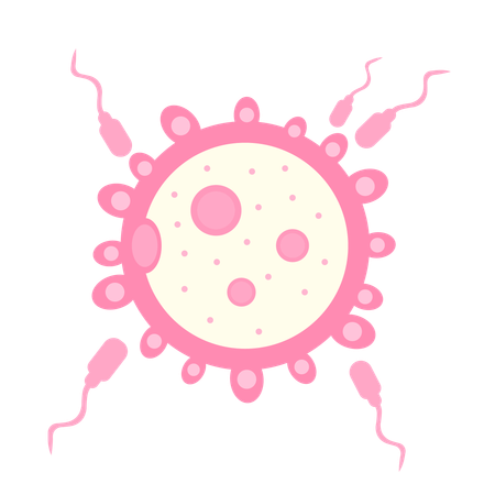 Spermatozoïde s'approchant d'un ovule pour la fécondation  Illustration