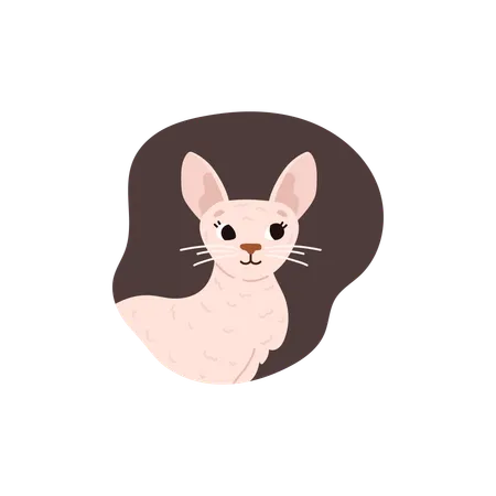 Sphinx cat cute adorable  Illustration