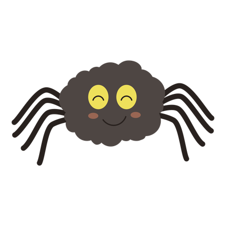 Spider  Illustration