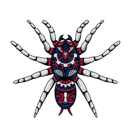 Spinne  Illustration