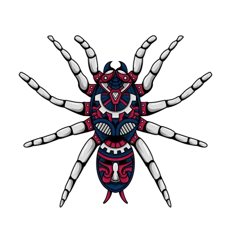 Spinne  Illustration