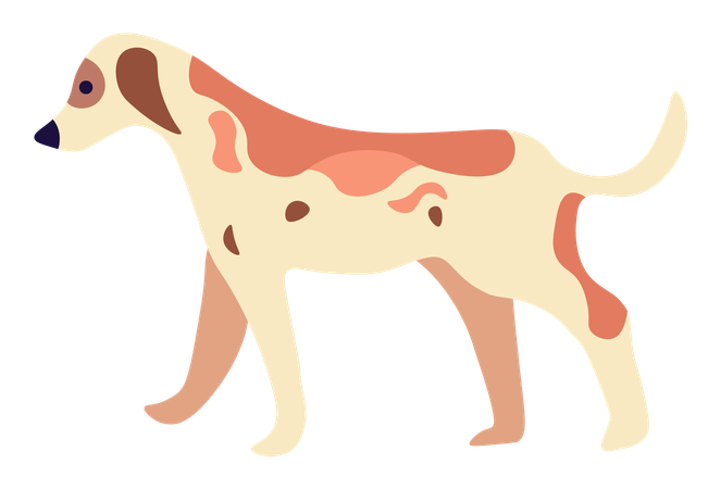 Spotted Dog Standing on Four Paws  Illustration