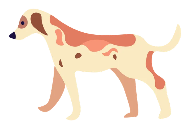 Spotted Dog Standing on Four Paws  Illustration