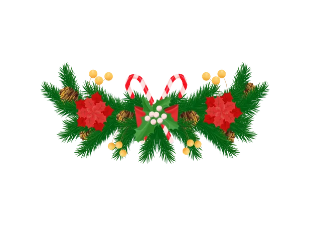 Spruce Branches and White Mistletoe Red Poinsettia  Illustration