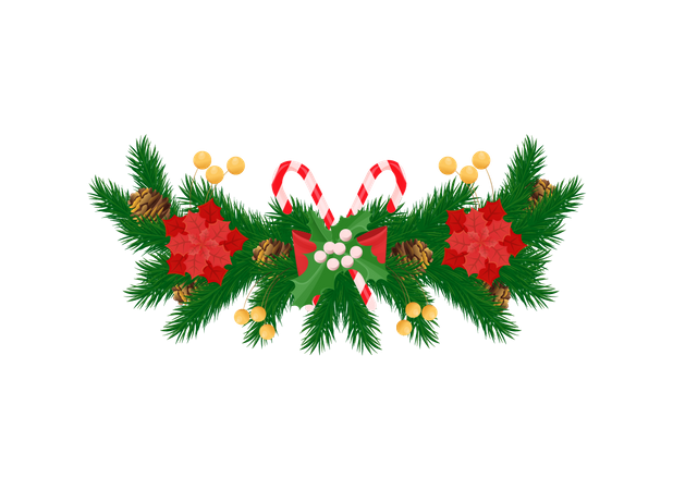 Spruce Branches and White Mistletoe Red Poinsettia  Illustration