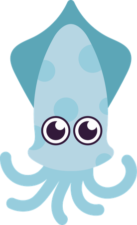 Squid  Illustration