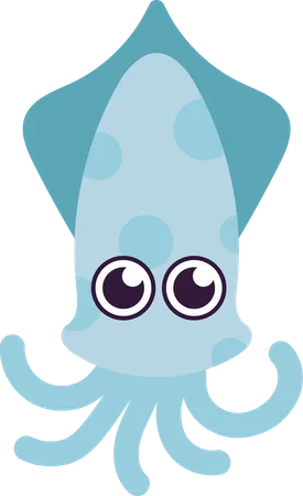 Squid  Illustration