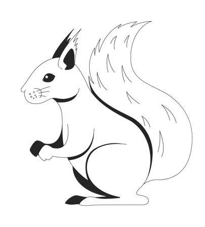 Squirrel standing  Illustration