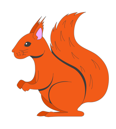 Squirrel standing  Illustration