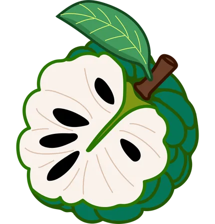 This Eye Catching Illustration Of A Srikaya Sugar Apple Shows Its Unique Segmented Exterior And Creamy Texture Its An Excellent Addition To Tropical Fruit Collections Or Educational Material About Diverse Fruits 일러스트레이션