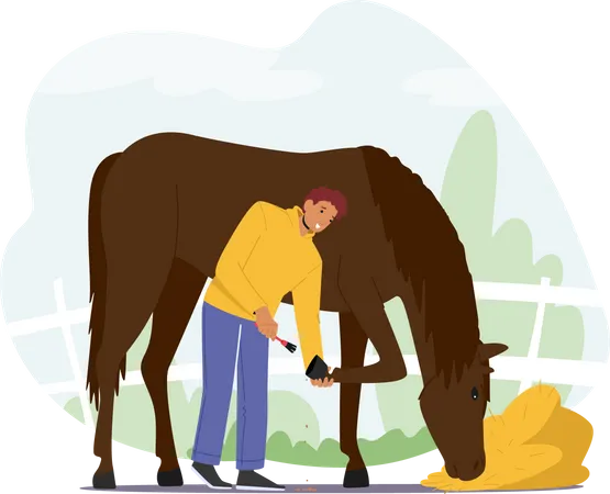 Stableman Male Care of Horse Cleaning Hooves with Brush Illustration