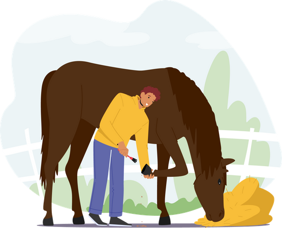 Stableman Male Care of Horse Cleaning Hooves with Brush  Illustration