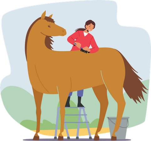 Stableman Woman Care of Horse Cleaning and Brushing Skin and Hair with Brush Illustration