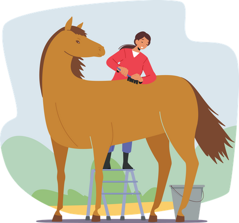 Stableman Woman Care of Horse Cleaning and Brushing Skin and Hair with Brush  Illustration