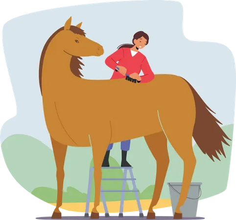 Stableman Woman Care of Horse Cleaning and Brushing Skin and Hair with Brush  Illustration