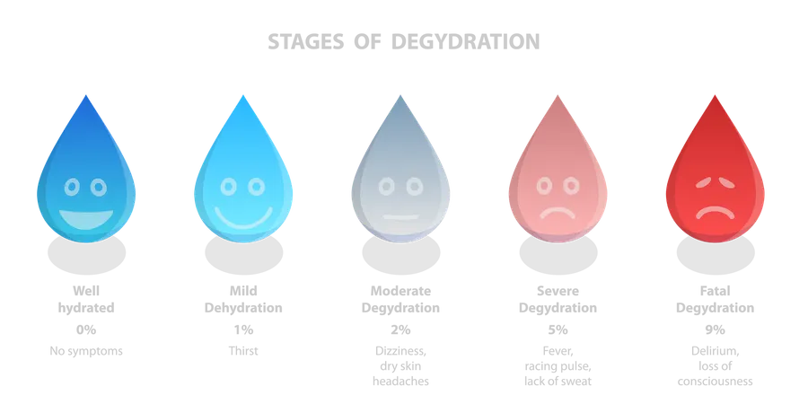 Stages Of Degydration  Illustration