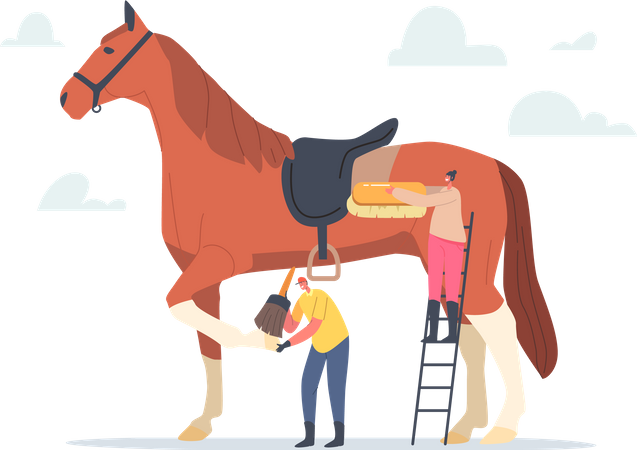 Stallbursche und Stallfrau putzen Pferd  Illustration