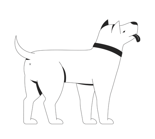 Standing dog with neutral expression and black collar  Illustration