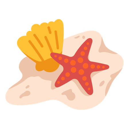 Starfish and Sea Shells  Illustration