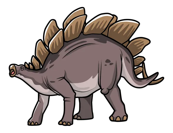 Stegosaurus  Illustration