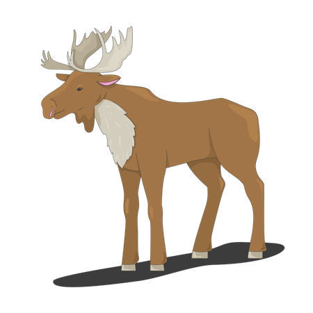 Stehender Elch mit Geweih  Illustration