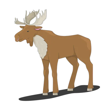 Stehender Elch mit Geweih  Illustration