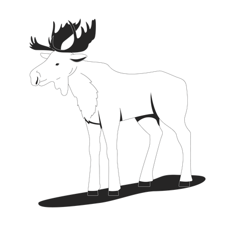 Stehender Elch mit Geweih  Illustration
