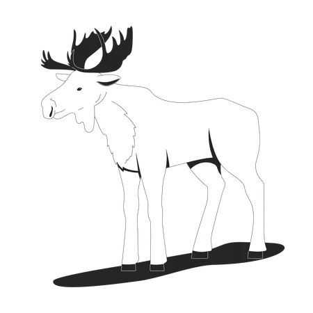 Stehender Elch mit Geweih  Illustration