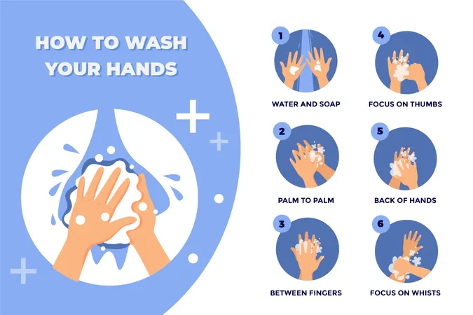 Steps of How to Wash your Hands  Illustration