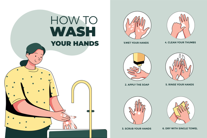 Steps of How to Wash your Hands  Illustration