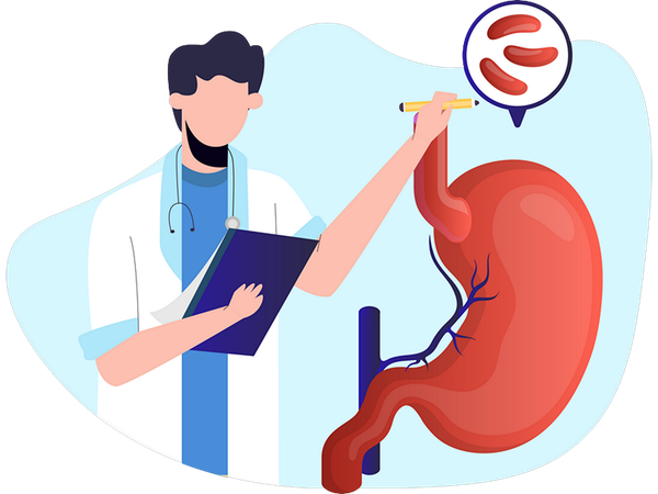 Stomach Causes  Illustration