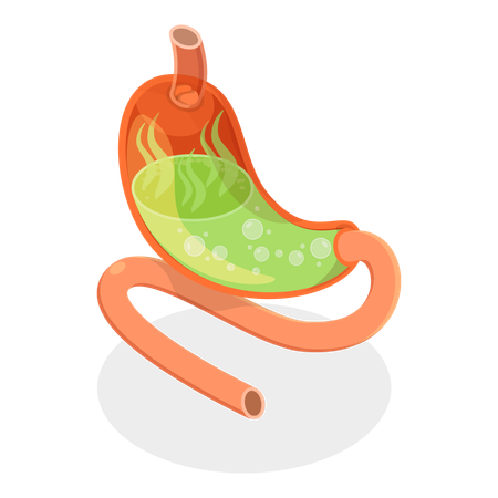 Stomach Problems  Illustration