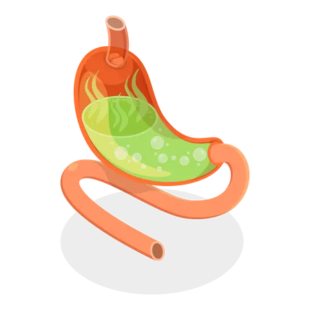 Stomach Problems  Illustration