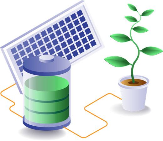 Stored solar energy is used to keep plant green  Illustration