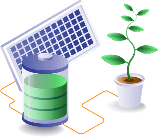 Stored solar energy is used to keep plant green  Illustration