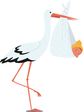 Stork Carrying Newborn Baby In Bag  Illustration